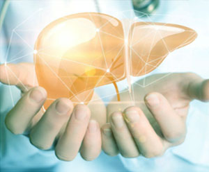 hormone therapy liver